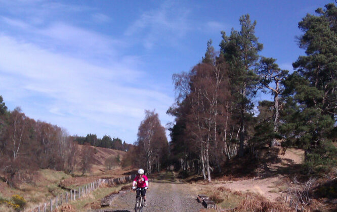 man walking along the dava way