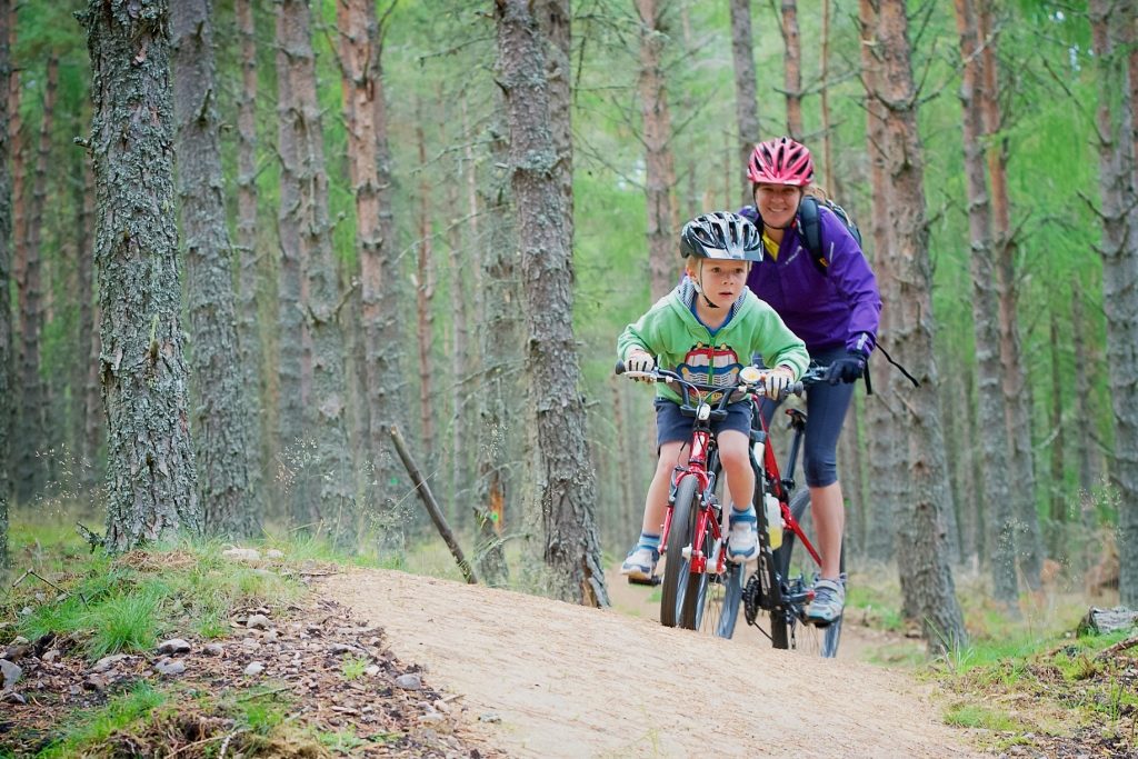 two people cycling through a forest