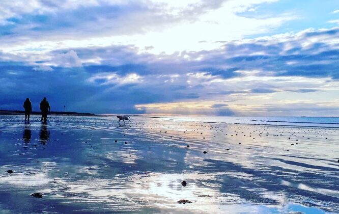 Picture of dogwalkers on a beach