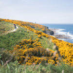 Picture of cyclist next to Moray Coast