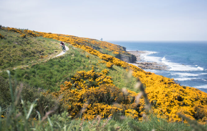 Picture of cyclist next to Moray Coast