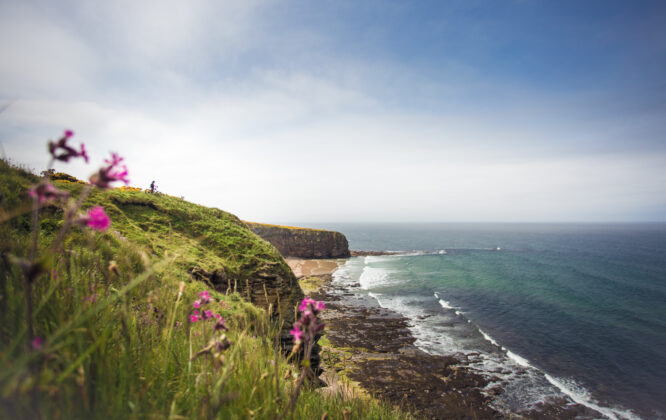 Picture of Moray Coast