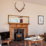 living room with a stag head mounted on the wall