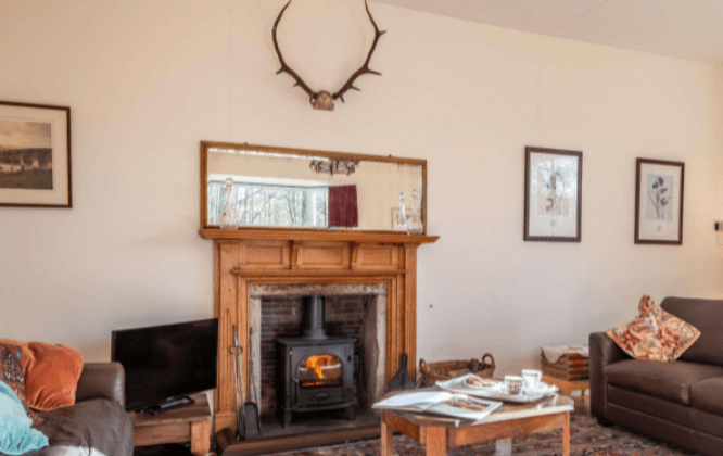 living room with a stag head mounted on the wall