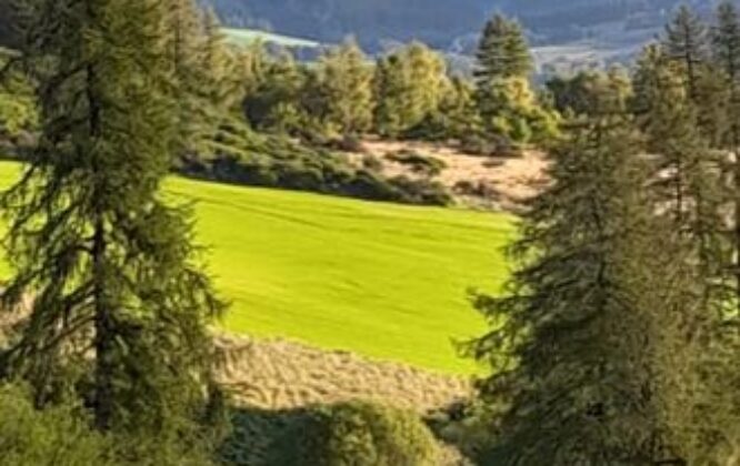 Picture of Dufftown golf club