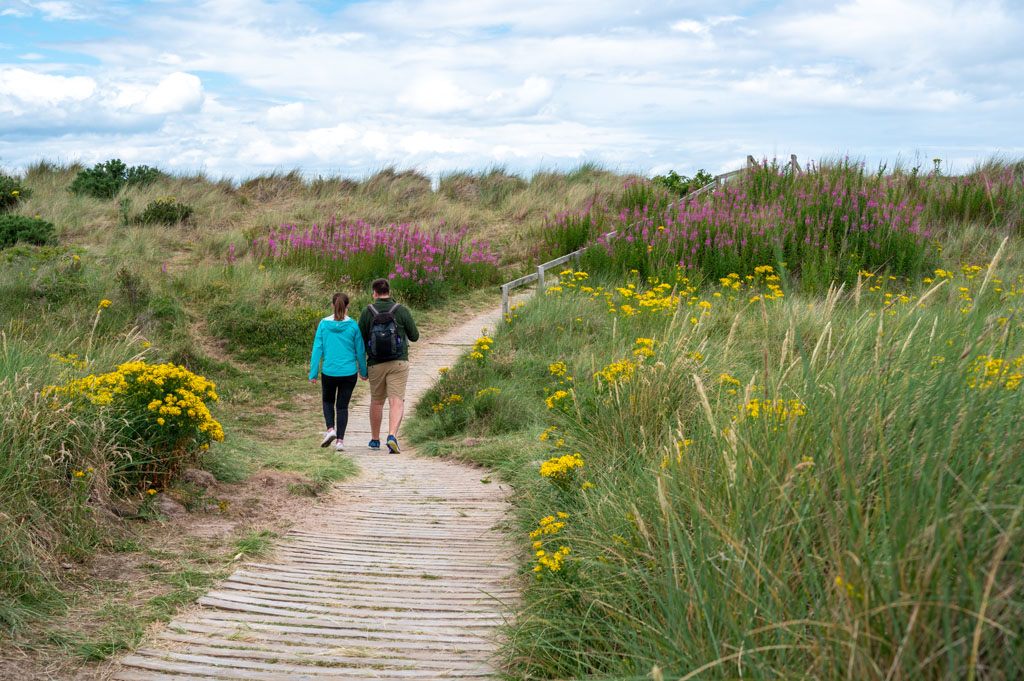 Picture of people on Findhorn walk