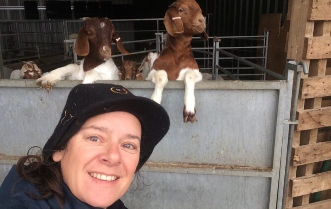 A lady standing in front of two goats