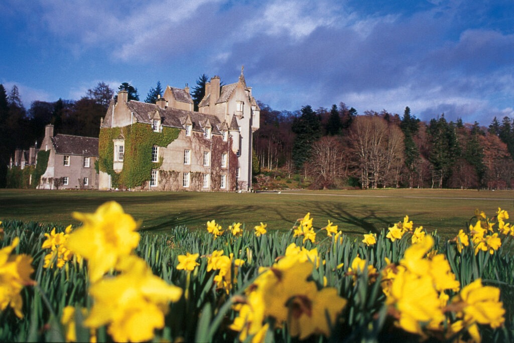 Ballindalloch Castle with Daffodils