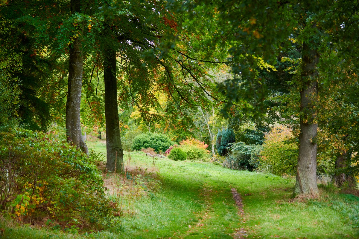 Burgie Arboretum Trail