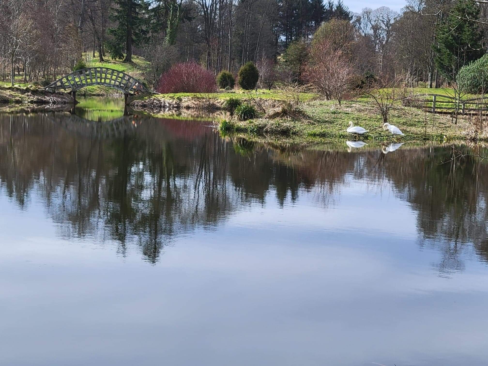 Burgie Arboretum Pond