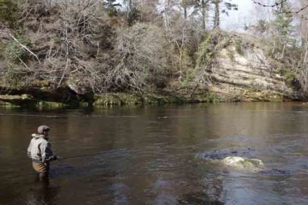 a man fishing