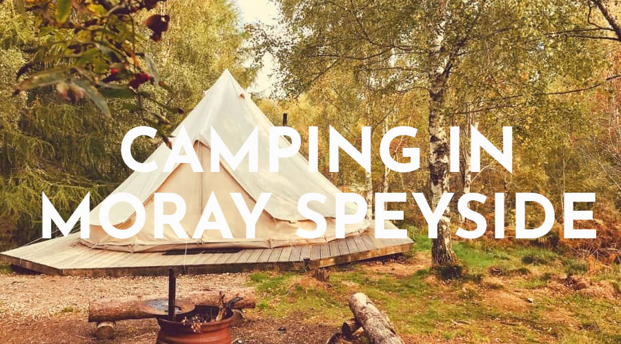 Camping Header