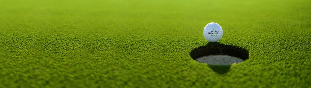 Golf Ball with VMS Logo sitting behind a golf hole