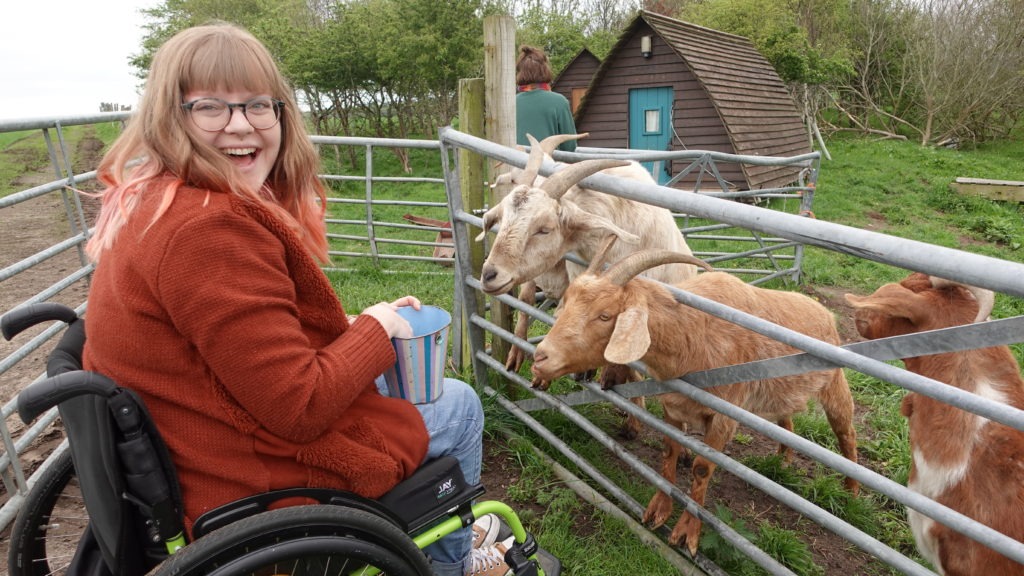 Photo of a lady in a wheelchair feeding goats