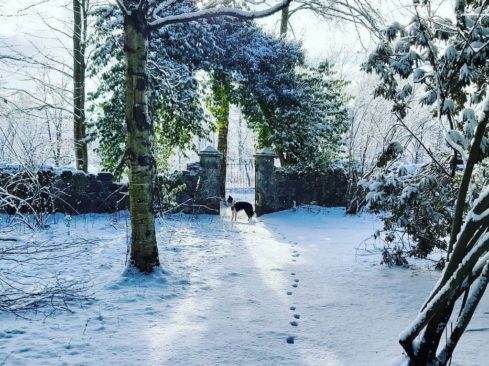 Winter At Brodie Castle